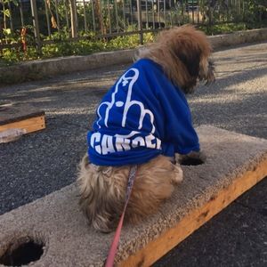 Meet your Posher, Kelli